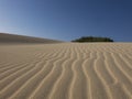 Sand patterns Natural park,Corralejo,Canary-islands,Spain Royalty Free Stock Photo