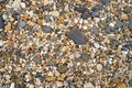 Sand And Pebble Rocks Closeup