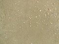 Sand and pebble wall texture background Royalty Free Stock Photo