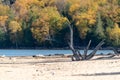 Sand Point Beach on Pictured Rocks National Lakeshore in the fall, with driftwood on the beach Royalty Free Stock Photo