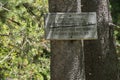 Sand Pond Trail sign, Boy Scout troops honored Royalty Free Stock Photo