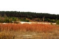 The sand quarry creates a special color against the background of a pine forest.