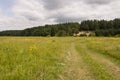 Sand quarry in the forest. Breakage or precipice, fall... Summer landscape