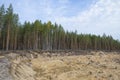 A sand quarry on the site of a destroyed forest Royalty Free Stock Photo