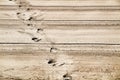 Sand racked texture with footprints on the beach Royalty Free Stock Photo