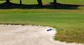 Sand rake lying in a bunker on a golf course