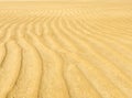 Sand Ripple Background