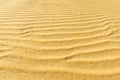 Sand Ripple Texture