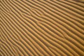 Sand Ripple Patterns