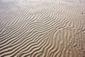 sand ripple patterns on ocean bed after tide Royalty Free Stock Photo