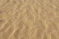 Sand ripple texture