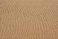 Sand ripple texture