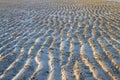 Sand ripple texture