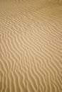 Sand ripples