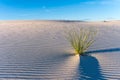 Sand ripples on a dune at White Sands National Monument Royalty Free Stock Photo