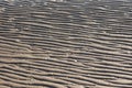 Sand ripples form a natural background of textured patterns at low tide