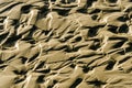 Sand ripples