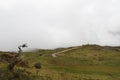 A sand road crossing through andean colombian paramo ecosystem