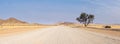 A sand road in the middle of the desert with a group of trees and Tiras Mountains in the background, Kanaan Desert Retreat, on the Royalty Free Stock Photo