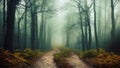 The sand road passes through a spooky forest with long trees covered in thick fog.