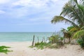 Sand road to beach with rustic fence and sea grapes and palm trees showing horizon of ocean meeting the sky