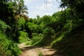 Road to Erasmus Cove cottages on the Caribean Island Tobago Royalty Free Stock Photo