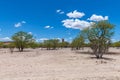 Sand road in the Ugab River valley, Namibia Royalty Free Stock Photo