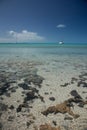 Sand and Rocks on Cruiser Beach, Long Island, Bahamas Royalty Free Stock Photo