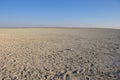 Sand, salt and savannah - the etosha salt pans in Namibia