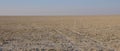Namibia: Sand salt and savannah - the etosha salt pans in Namibia