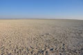 Sand salt and savannah till the endless horizon at the etosha sa