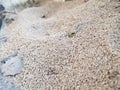 Sand Royalty Free Stock Photo