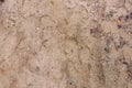 Sand, sand texture, background top view Royalty Free Stock Photo