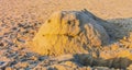 Sand sculpting, whale sand sculpture on the beach, creative art for kids and adults, summer season background Royalty Free Stock Photo