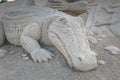 Sand sculpture of the crocodile . Sand Sculptures Festival in Jelgava.