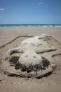 Sand sculpture mermaid, Matarangi Beach, New Zealand Royalty Free Stock Photo