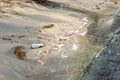 Sand sea or lake beach polluted with plastic bottles and black harmful toxic sewage chemicals. Nature contaminated with