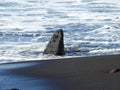 Black sand beaches rocks and waves in Tenerife Royalty Free Stock Photo