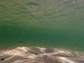 Sand and seabed underwater. Clear water in Lake Superior Michigan