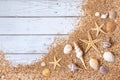 Sand seashells background. Summer time concept with sea shells and starfish on wooden background and sand Royalty Free Stock Photo