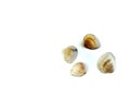 Sand, seashells, stones isolated on white background. Concept of rest. Top view and copy space Royalty Free Stock Photo