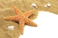 Sand and seastar border Royalty Free Stock Photo