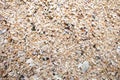 Sand and shells Caused by the waves of the sea washing shell fragments and sand toward the coast Royalty Free Stock Photo