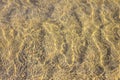 Texture of water and sand