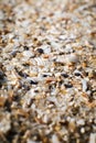 Sand and small particles of shells on the seashore close-up Royalty Free Stock Photo