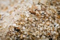 Sand and small particles of shells on the seashore close-up. Background Royalty Free Stock Photo