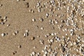 Sand and small pebbles