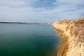 sand. spring. water. snow. Haloxylon Royalty Free Stock Photo