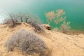 sand. spring. water. snow. Haloxylon Royalty Free Stock Photo