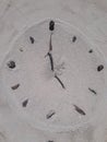 Sand and stick beach clock face 5 o clock Royalty Free Stock Photo